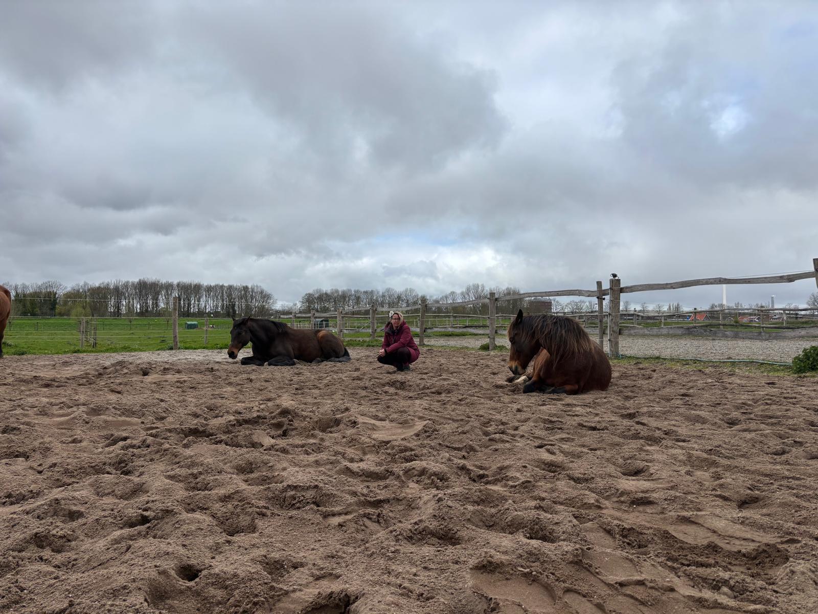 Coach en cliënt op de grond bij het paard
