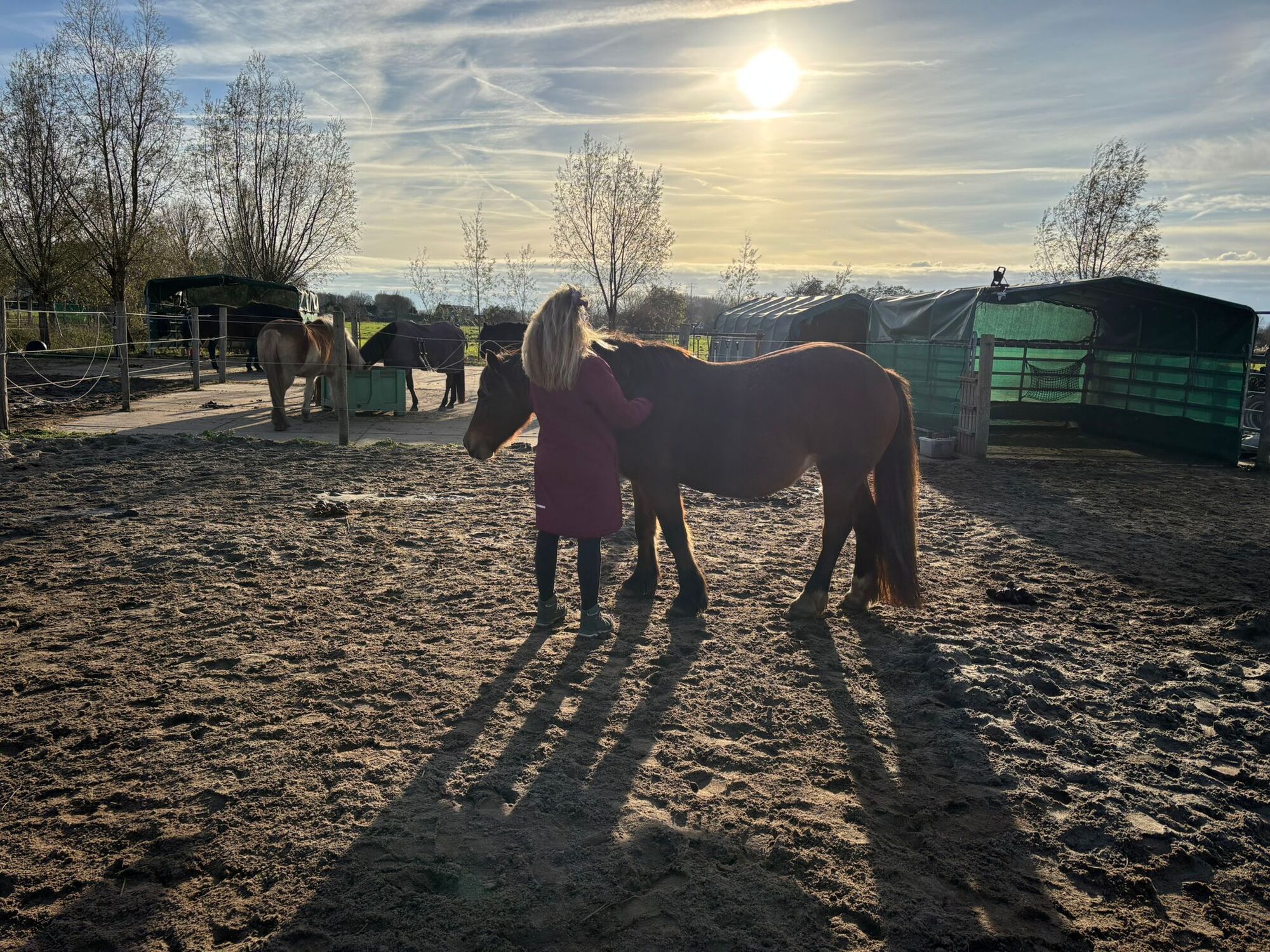 Iris met haar paard tijdens een coachingsessie in Poortugaal