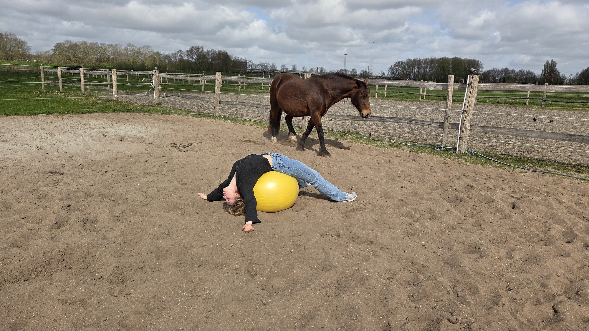 Paardencoach met paard tijdens een coachingsessie