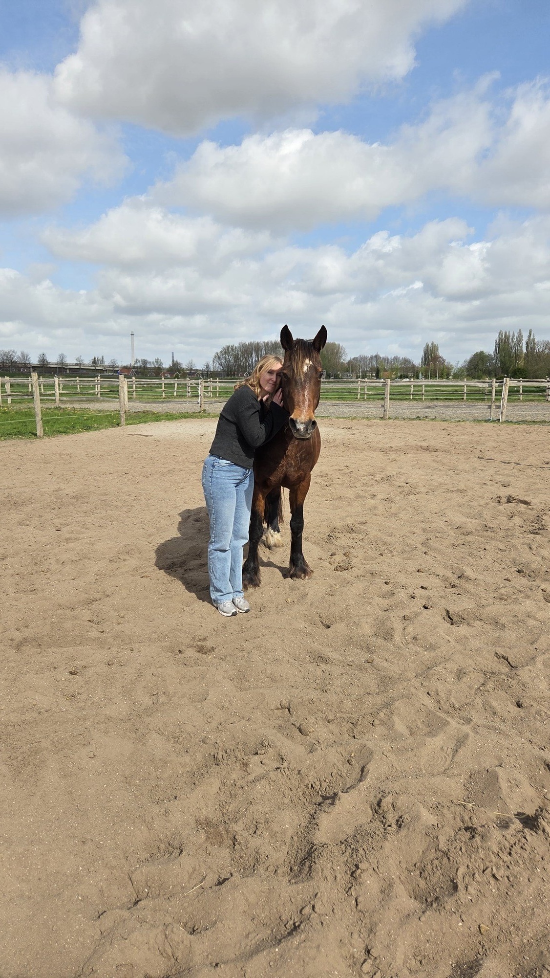 Proefsessie paardencoaching