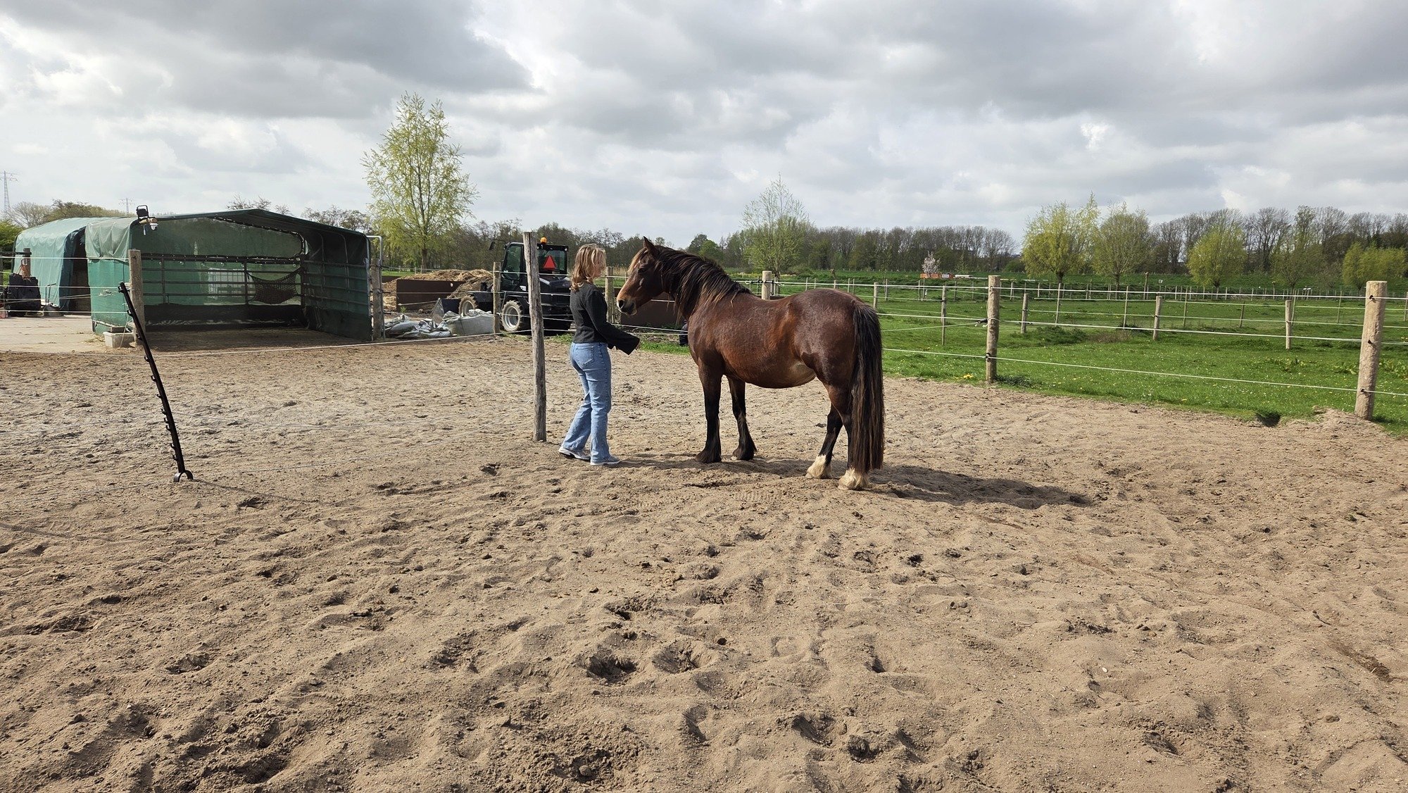 Persoon naast paard in de wei, serene sfeer